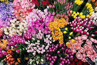 《宿星的女朋友》Steam页面 第四季度推出